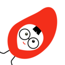 拼歪果App手机版v5.4.3