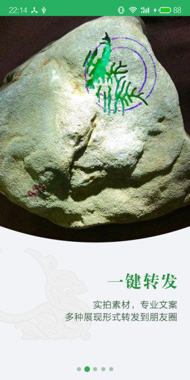 翠库app手机版v1.2.26图1