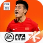 fifa足球世界国际服v1.3.69