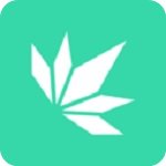 琴叶小说手机版v4.1.2