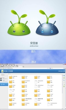 安豆苗安卓版v1.0.3图2