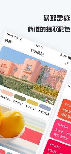 色库app安卓手机版v3.9.3图1