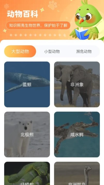 动物天地最新版截图