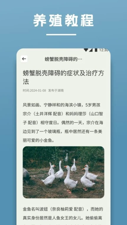 阳光养猪场最新版截图