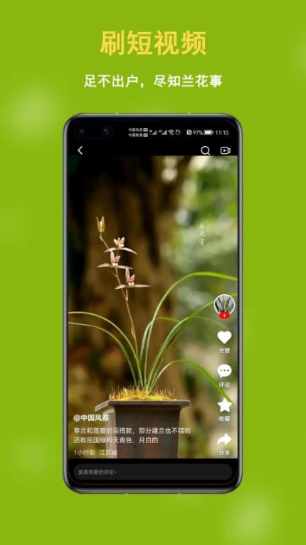 兰花交易界面截图